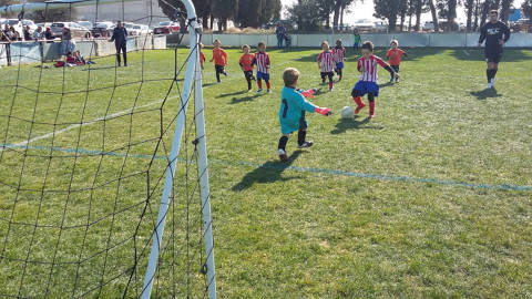 Futbol