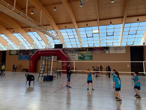 Voleibol
