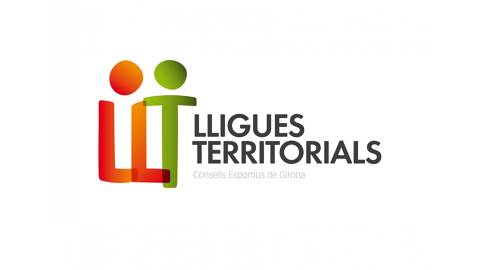 LLIGUES TERRITORIALS