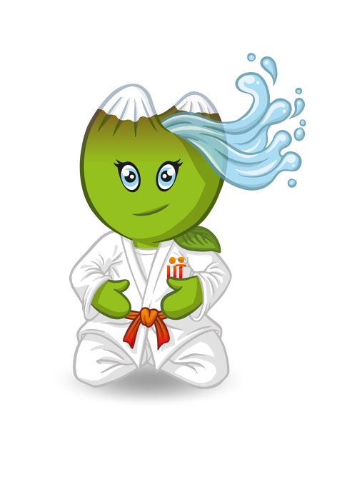 LLIGA TERRITORIAL JUDO